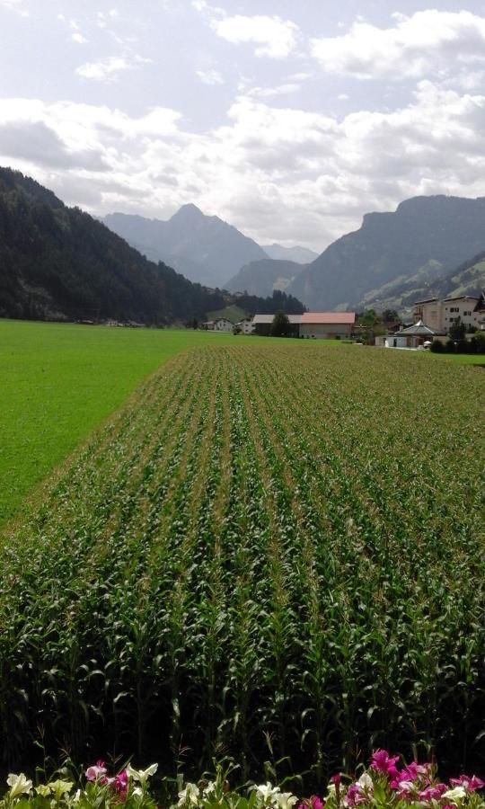 Gaestehaus Wildauer Zell am Ziller Buitenkant foto